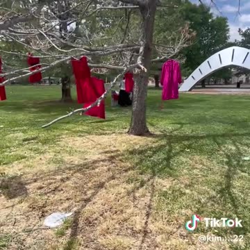 #bradylandfillsearch #CultMapping #ICWA #Durangocide #disneybots #MMIP