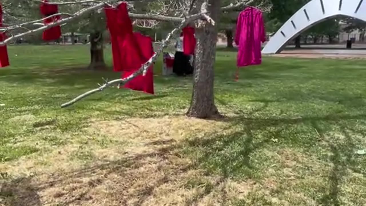 #bradylandfillsearch #CultMapping #ICWA #Durangocide #disneybots #MMIP