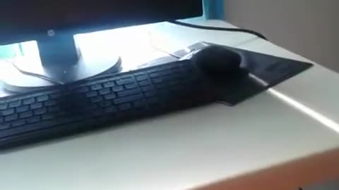Where are the Uploads (Old Reupload)