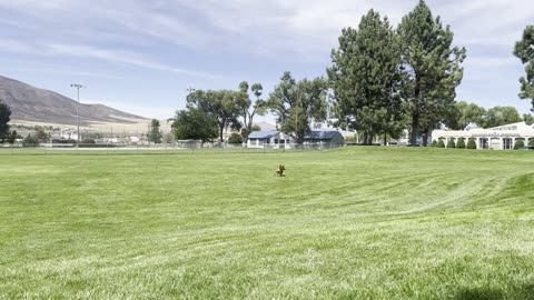 Tokala makes the catch in Winnemucca 3209840298