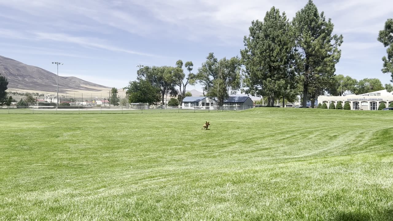 Tokala makes the catch in Winnemucca 3209840298