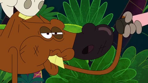 Zig and Shark Cartoon (10)