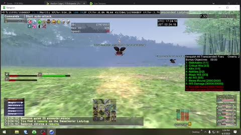 Playing Final Fantasy XI Online