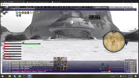 Playing Final Fantasy XI Online
