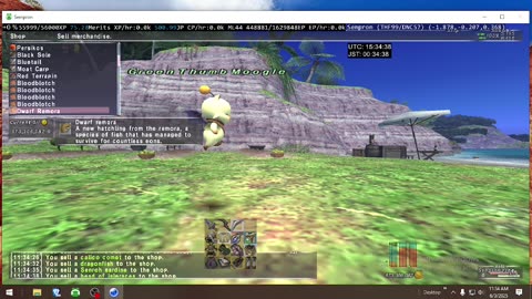 Playing Final Fantasy XI Online