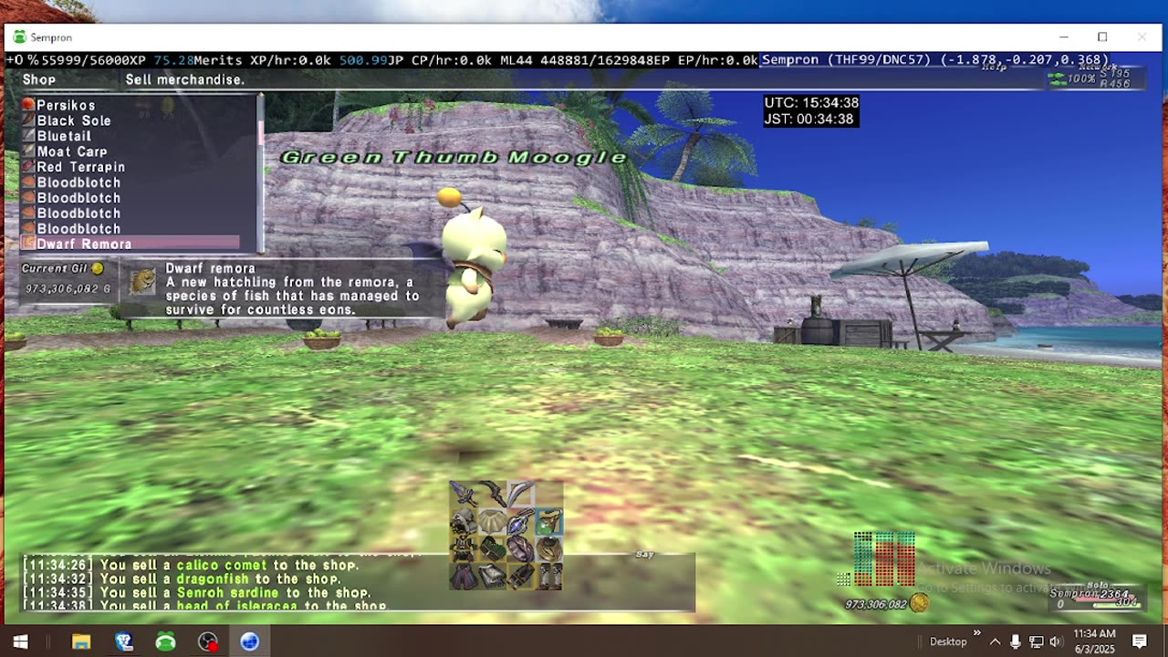 Playing Final Fantasy XI Online