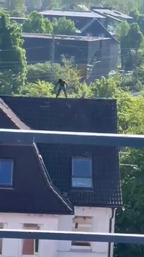 Ripping Apart The Roof For Reparations And To Combat Socioeconomic Systems