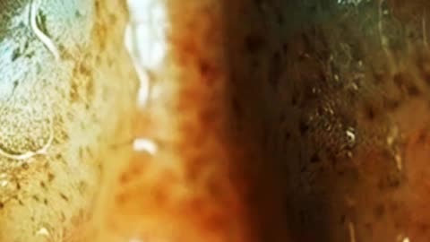 Dard TSC Hits #Short/Promo