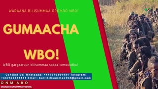 Gabaasa Gumaacha ONM-ABO Adoolessa 6-2025 itti dhiyaadhaa!
