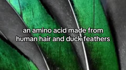 8 crazy facts about what's in our food you never knew