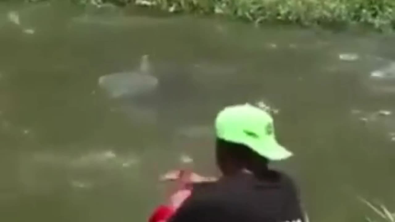 💋 Good Morning, Fishing for Breakfast