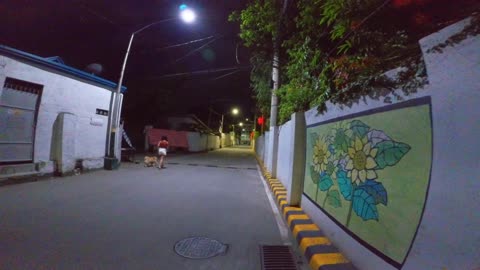 Dog Walking on Dimatimbangan Street in Paranaque City in the Philippines