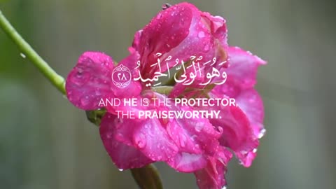 🔥Surah Ash Shūrā 42:28🌧️✨سورہ الشوریٰ #love #quran #viral #shorts #trending #shortvideo #viralvideo