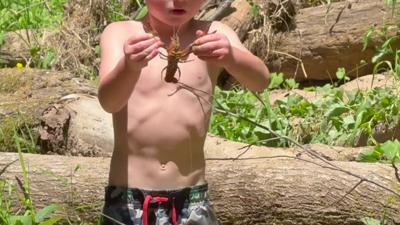 Little Crawdad Wrangler Gets Pinched