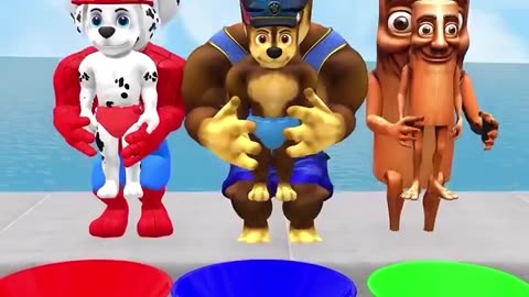 The paw patrol team lining up