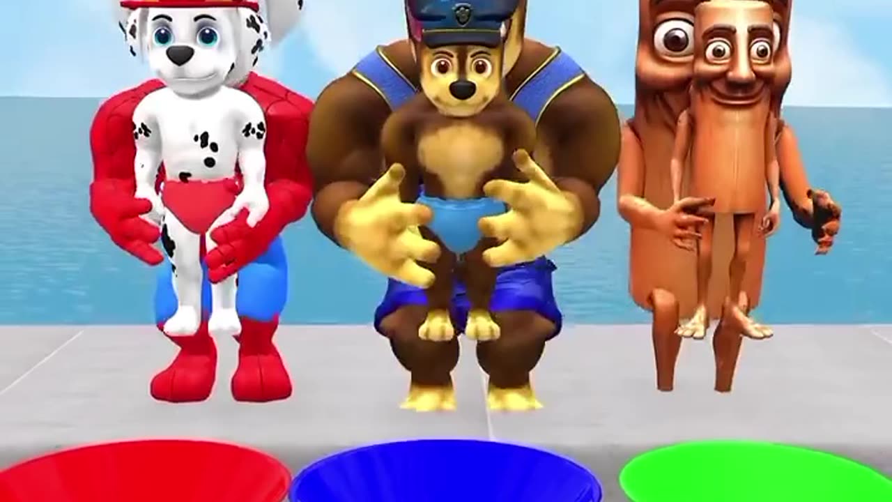 The paw patrol team lining up