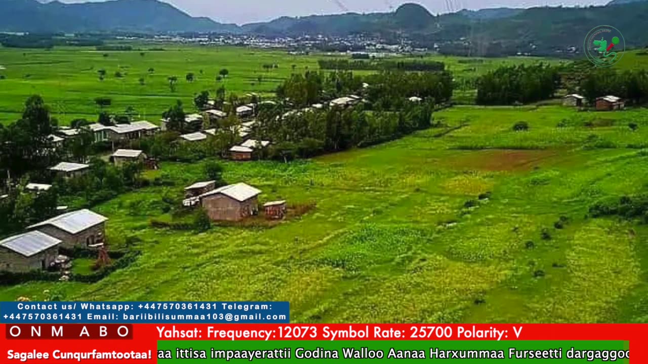 Oduu Waaree ONM-ABO Caamsaa 26-2025 itti dhiyaadhaa!