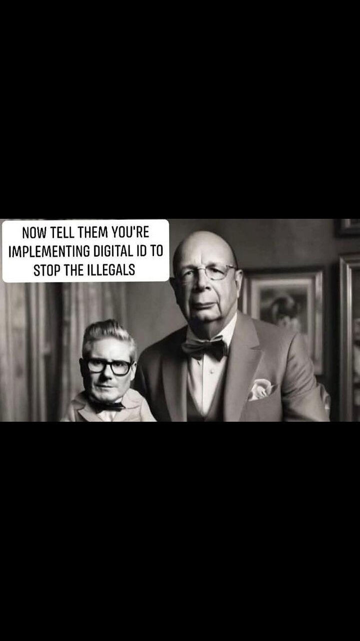 How did we get so Stupid?