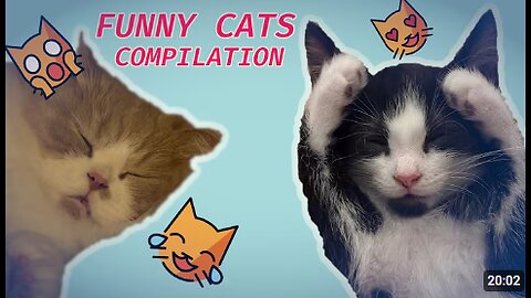 😂 Funniest Cats Videos 😺🐶 || 🥰😹 Hilarious Animal Compilation №76