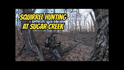 Squirrel Season Sucks This Year