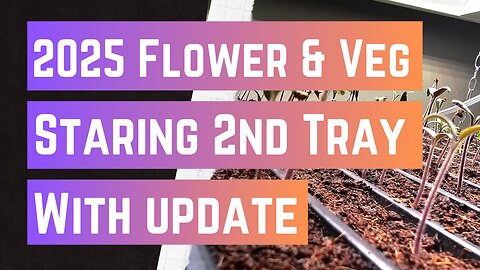 2nd 2025 Seed Row Tray Started with an Update