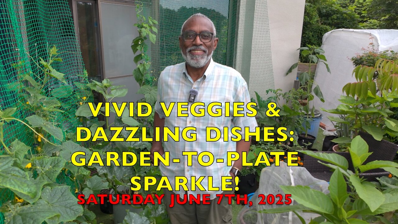 Vivid Veggies & Dazzling Dishes: Garden-to-Plate Sparkle!