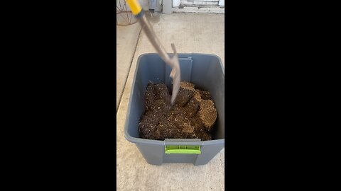 Growing Potatoes From Sprouts