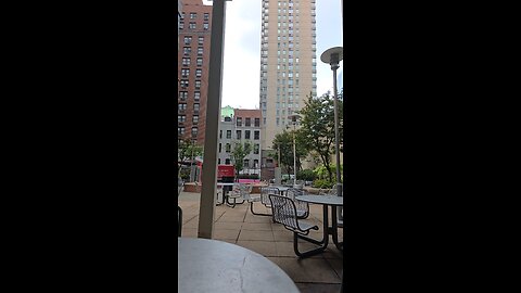 random dog shit in nyc