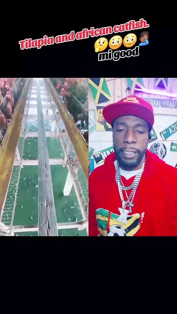 homesteading perfection 😶‍🌫️