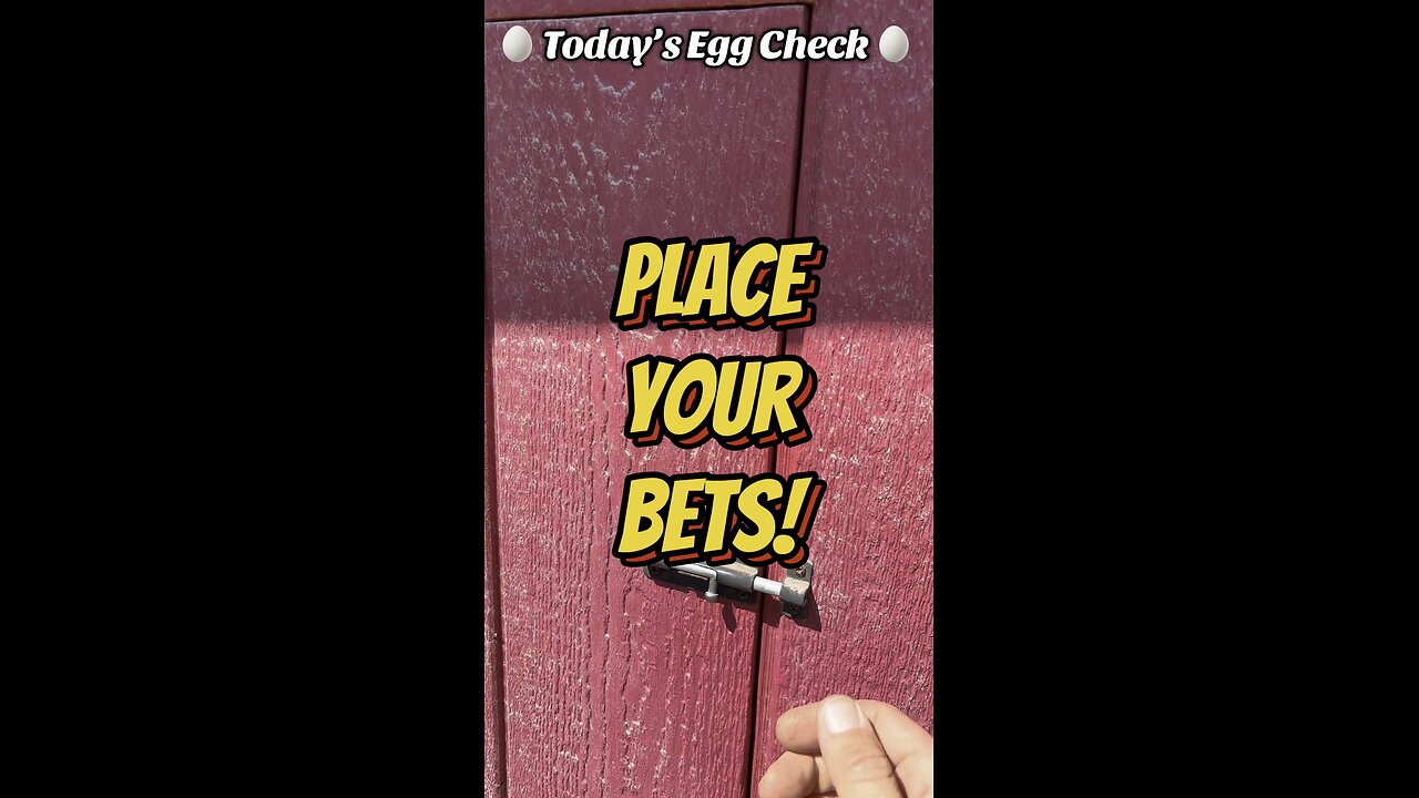 🥚 Today’s Egg Check! 🥚 #shorts