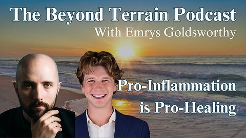 Chronic Illness Is Not What You Think | Terrain, Nerves & Real Healing