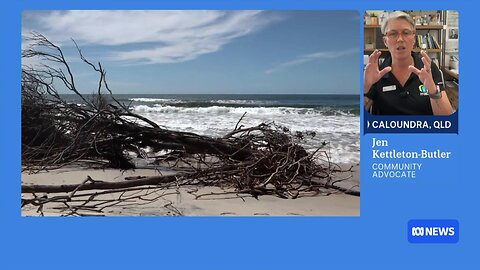 Locals appeal to Bindi and Robert Irwin to save animals on Bribie Island