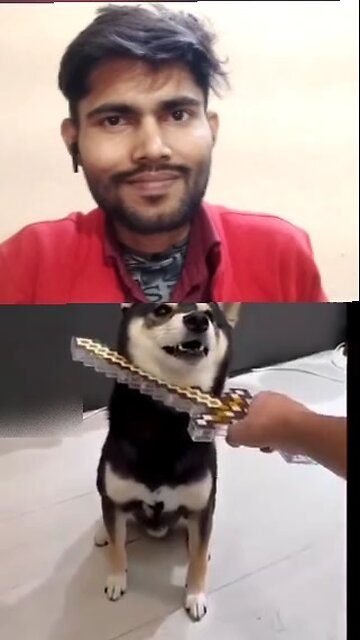 Dogesh Bhai ka damdaar acting