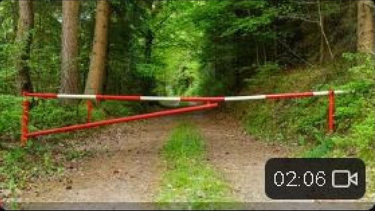 Waldverbot für die BRD- KZ-Häftlinge!