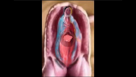 WORLD ALERT! EXTINCTION Level REVELATION. MY People Die From Lack Of Knowledge. COME OUT Of HER NOW