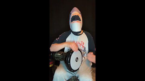 Shark out of water rhythm