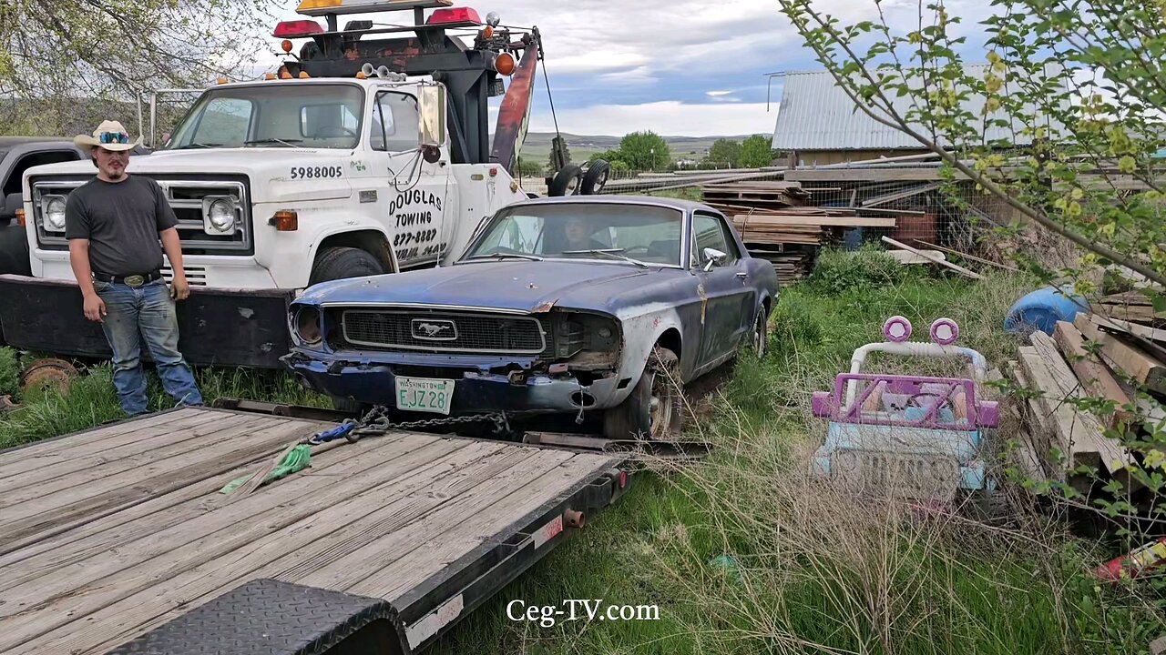 Graham Family Farm: 68 Mustang Project