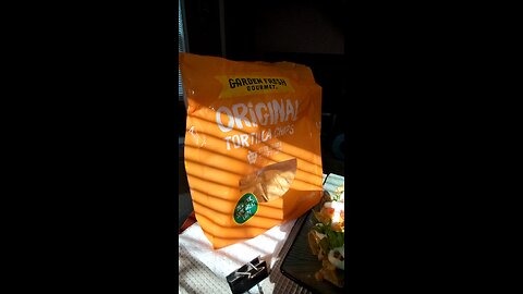 Eating Garden Fresh Gourmet Original Tortilla Chips, Dbn, MI, 6/2/25
