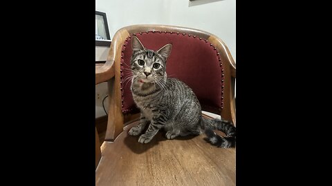 The Scott Adams School 01/16.26