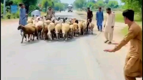 kuchh aadami bhide and dekar ja rahe hain
