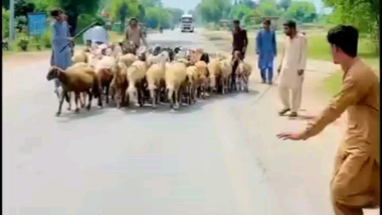 kuchh aadami bhide and dekar ja rahe hain