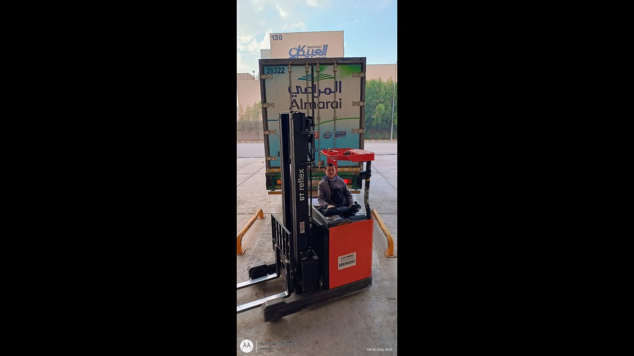 Someone stole my cat