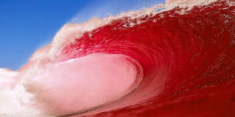 Inside the Machine Want a Red Wave in California Start Facing the Brutal Math