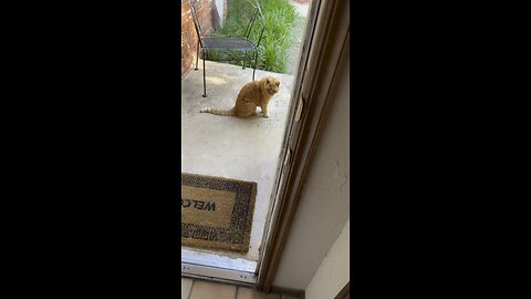 Let’s go walk.