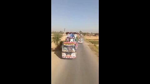 local buses competition