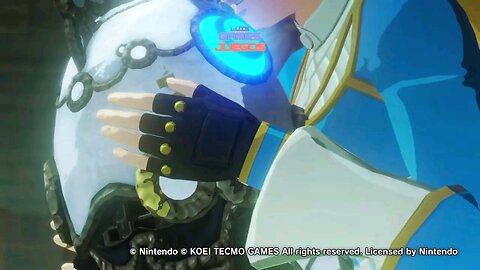 Hyrule Warriors Age Of Calamity Guerreros De Hyrule La Era De Calamidad 5.1.2025 Terrako Character