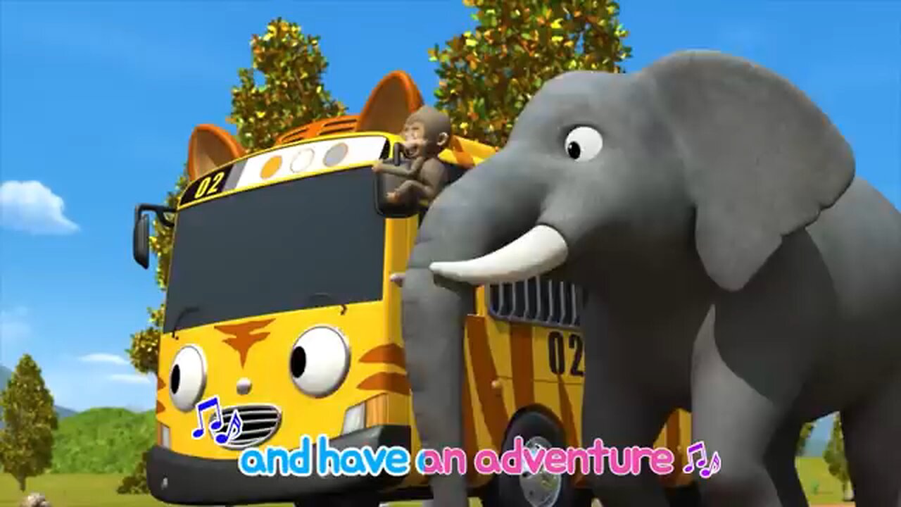 funny videos