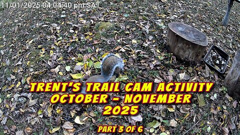 Trent's Trail Cam Activity - October & November 2025 - Part 3 Of 6