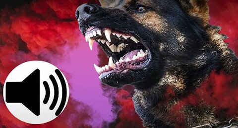 Dogs Barking Sound Effect