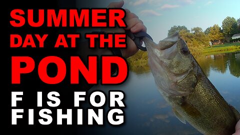 Summer Day at the Pond